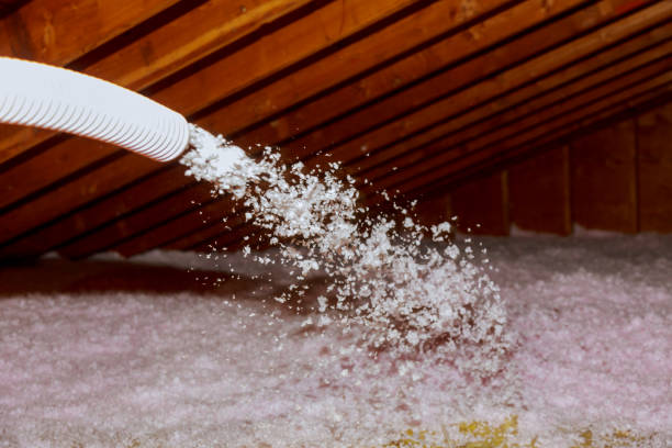 Best Specialty Insulation in Willards, MD